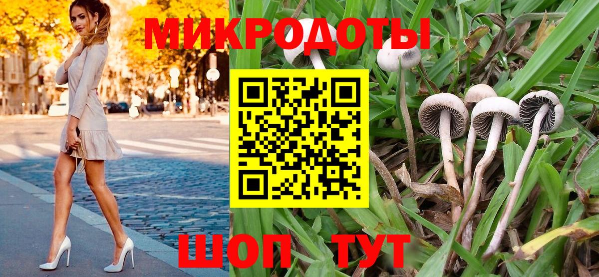 Псилоцибиновые грибы Magic Shrooms Астрахань